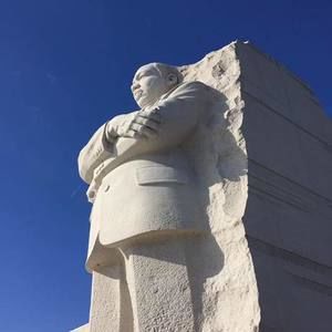 Meet your Posher, Henry